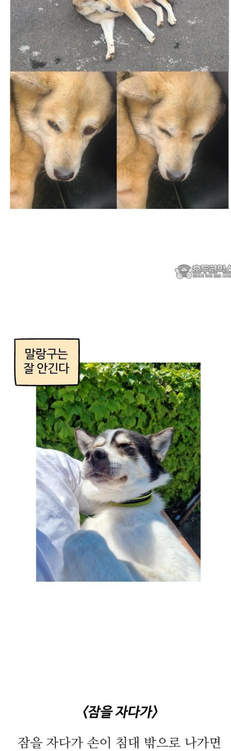 006.jpg