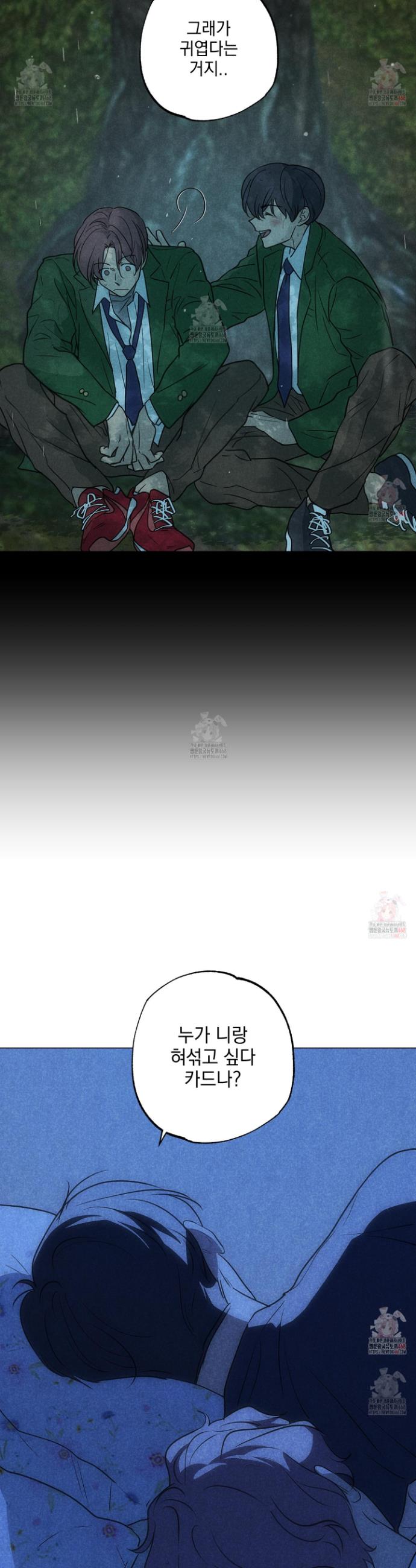1746485405067polyvum2au.jpg