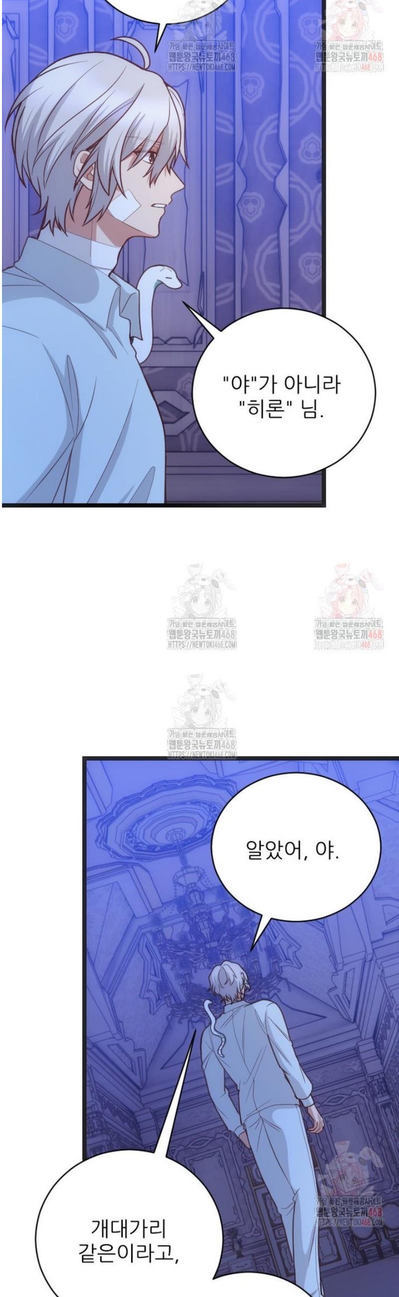 1746571246340i81jehyqnn.jpg