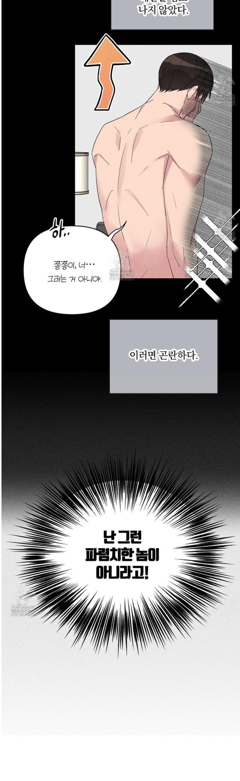006.jpg