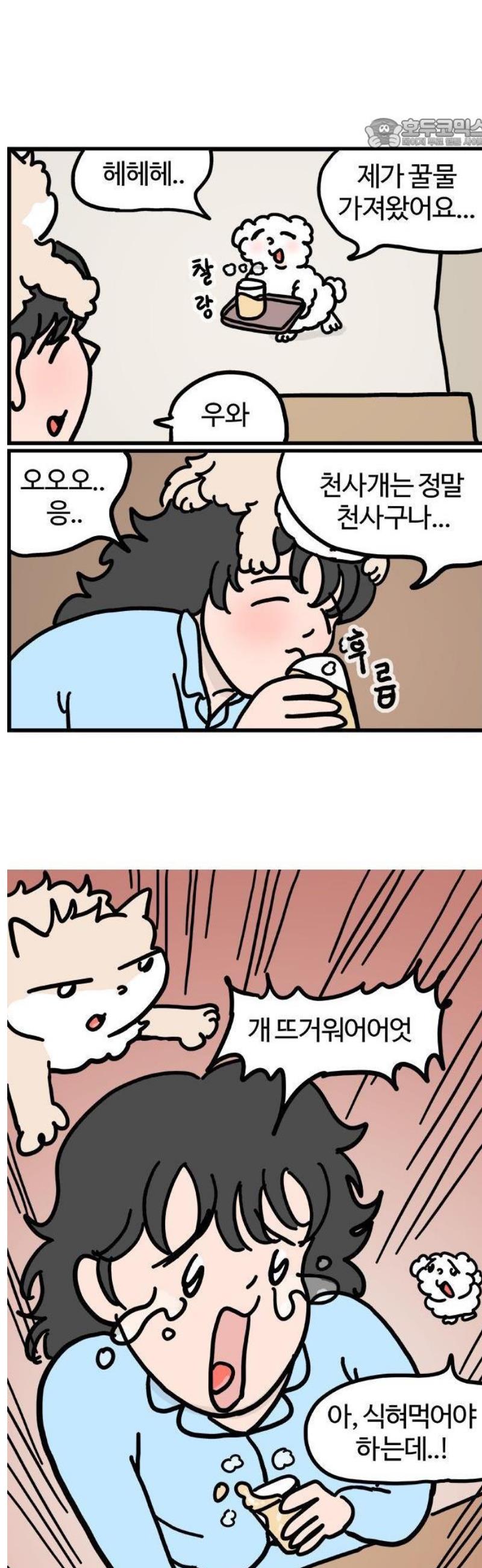006.jpg
