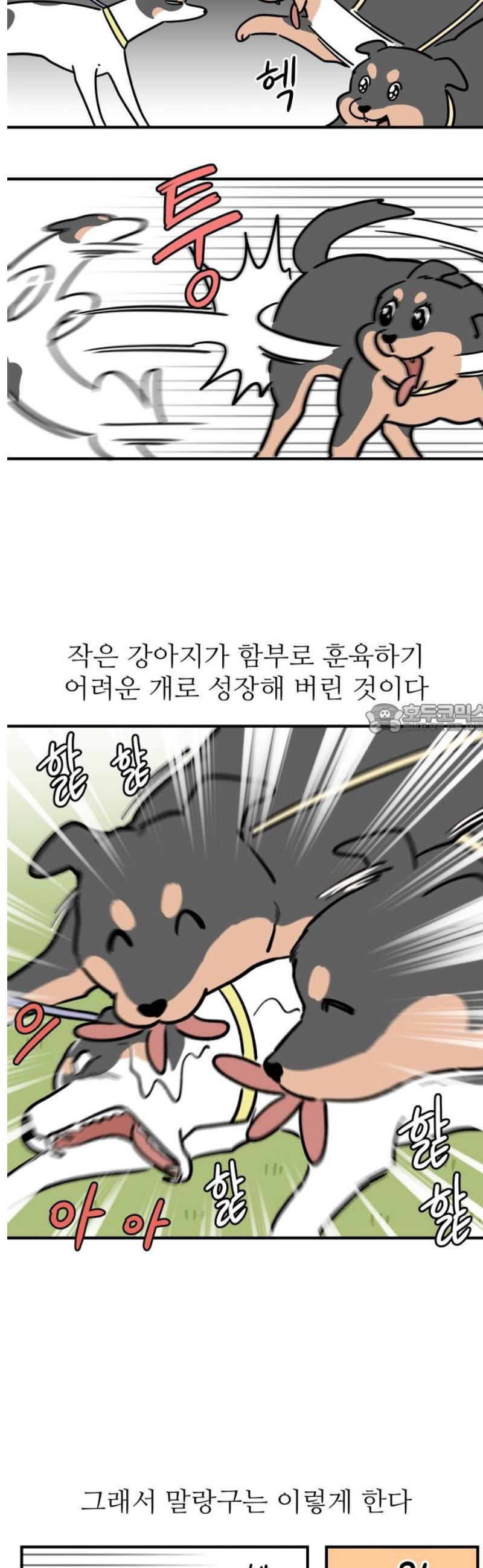 006.jpg
