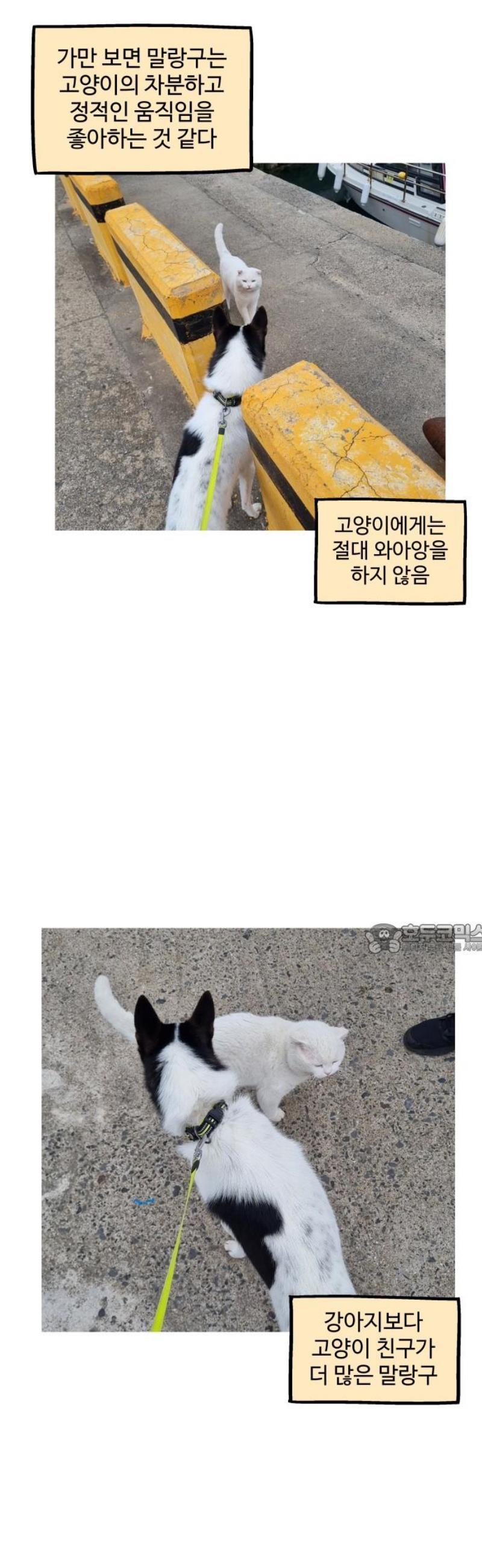 008.jpg