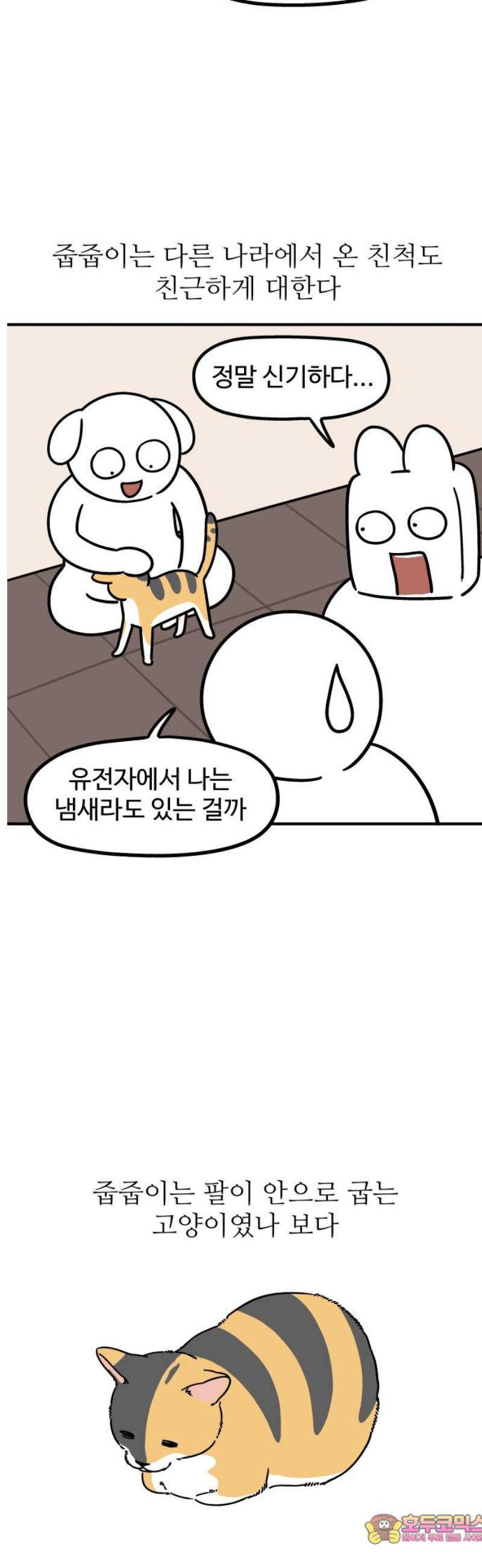 011.jpg